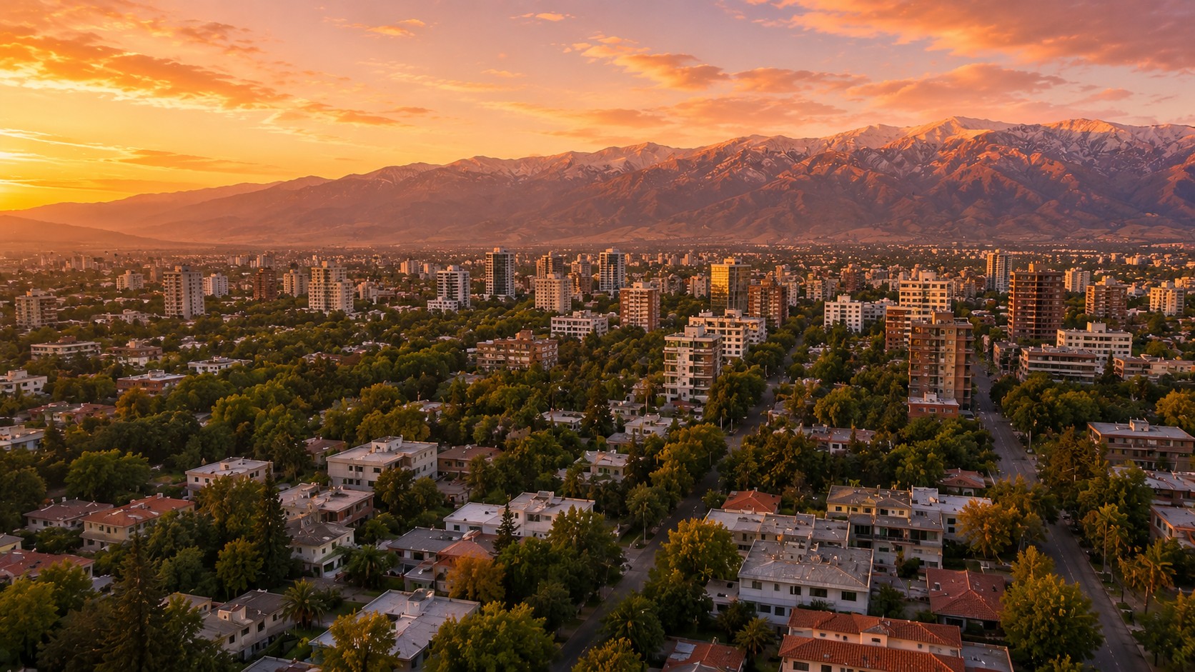 City Lands Real Estate